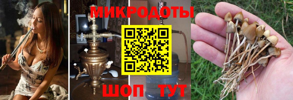 Псилоцибиновые грибы мухоморы Чусовой